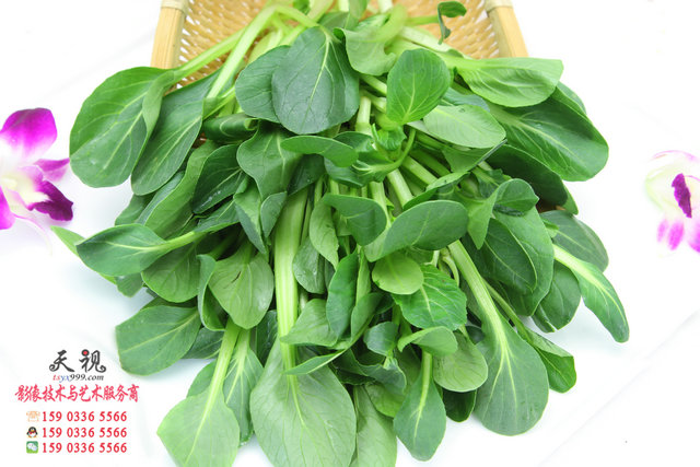 天視影像拍攝紫金山菜品 紫金山海鮮城在秦皇島聲名遐邇，不僅菜品鮮美，而且廚師技藝精湛，如何用圖像全方位的表達出各類美味佳肴的神韻，并進而做成精美的食譜，讓每一位